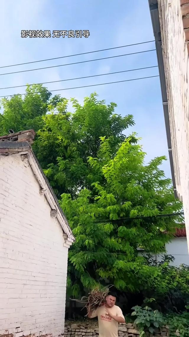 《半生尘缘》剧照