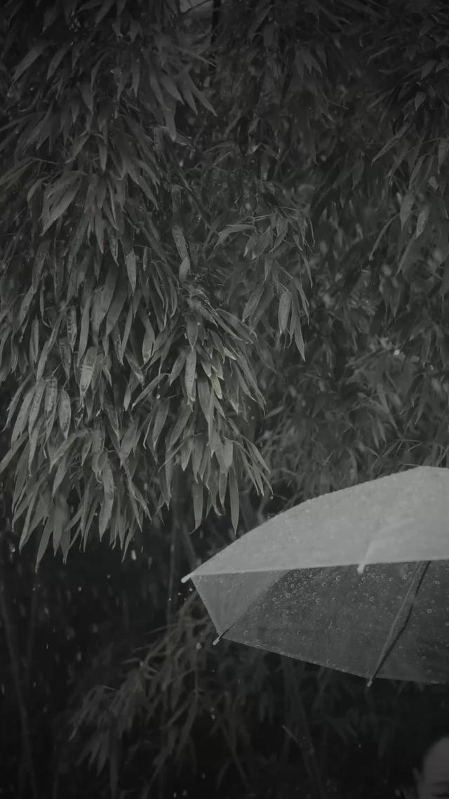《离婚前夜，我成了富婆》剧照