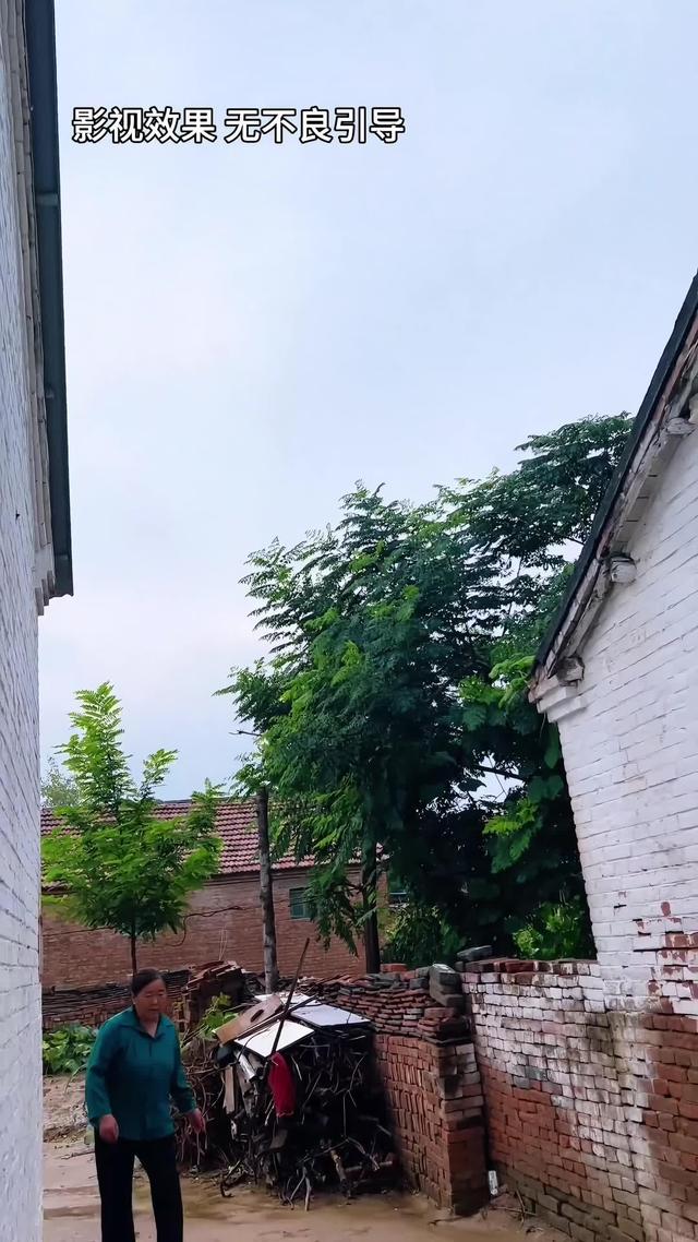 《半生尘缘》剧照