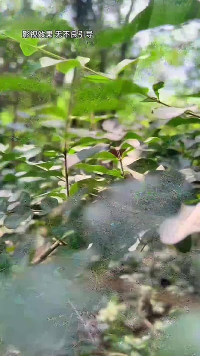 《半生尘缘》剧照
