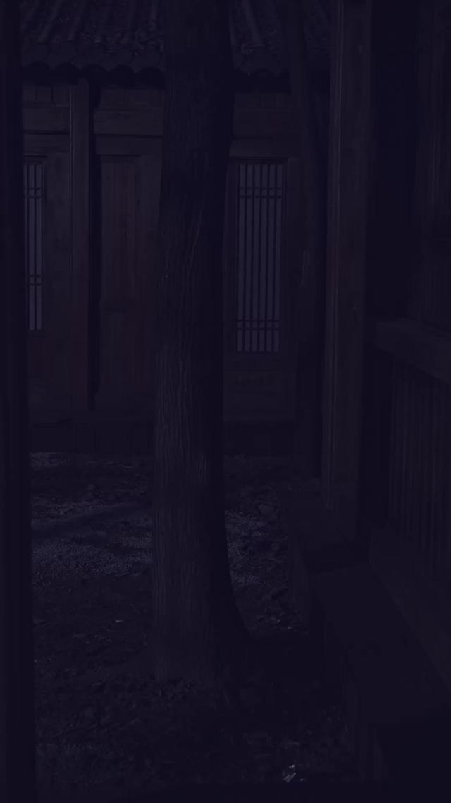 《女將軍重生之一體雙魂祖奶行》劇照