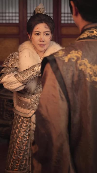 《女將軍重生之一體雙魂祖奶行》劇照