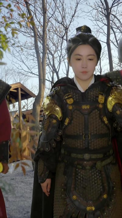 《女將軍重生之一體雙魂祖奶行》劇照