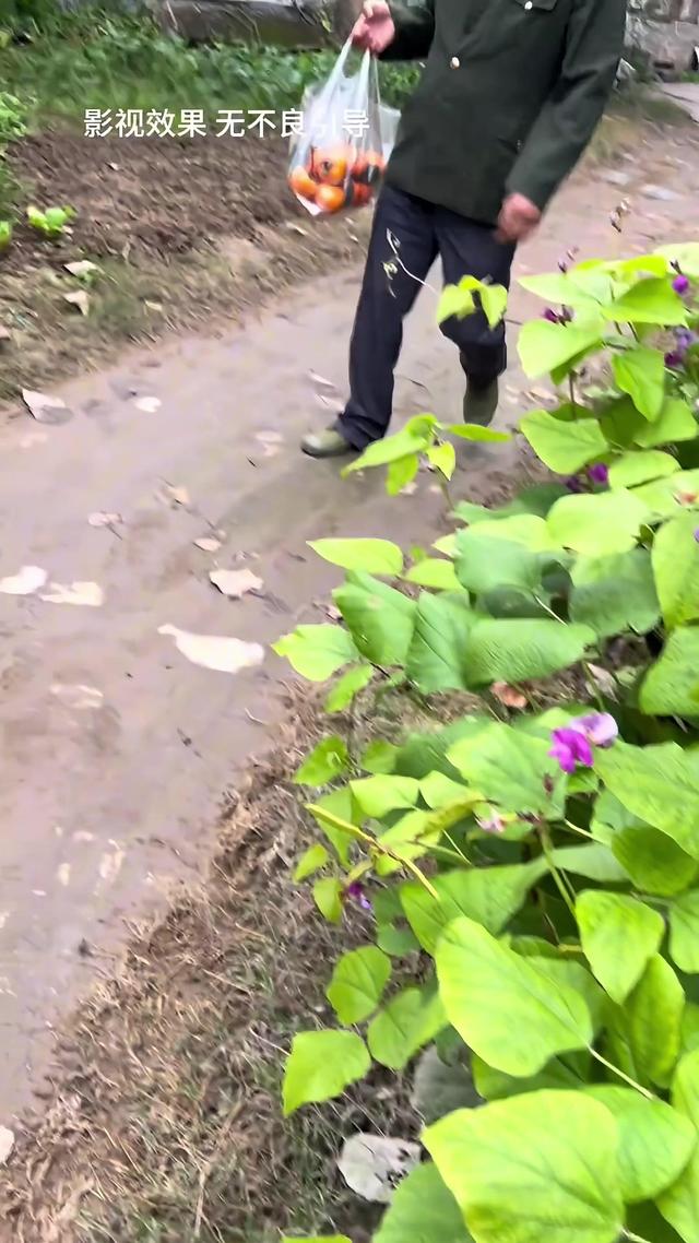 《半生尘缘》剧照