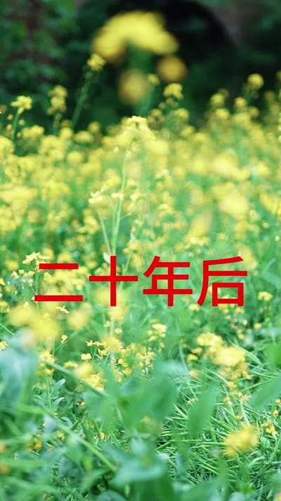 《苦盼儿孙半生缘》剧照