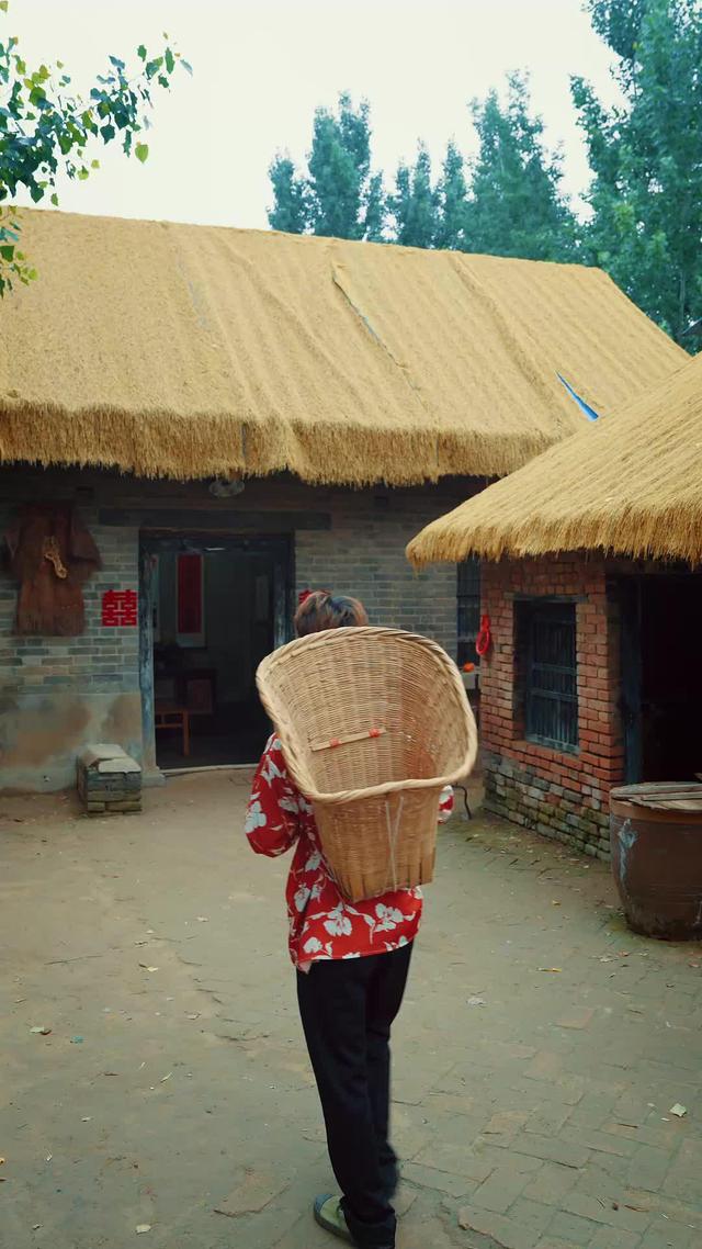 《山風知我意》劇照