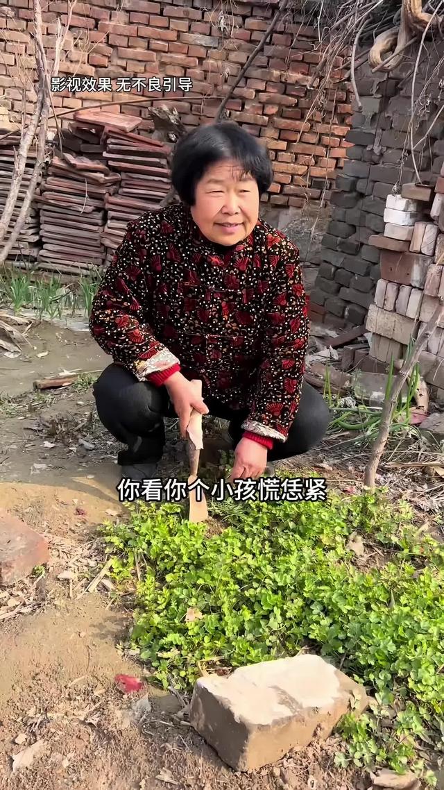 《远嫁女儿泪》剧照