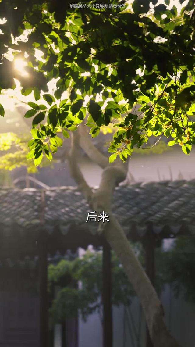 《歲歲，盼娣歸》劇照