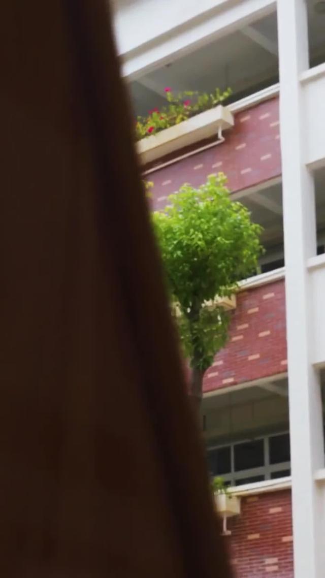 《班主任姐姐她專治不服》劇照