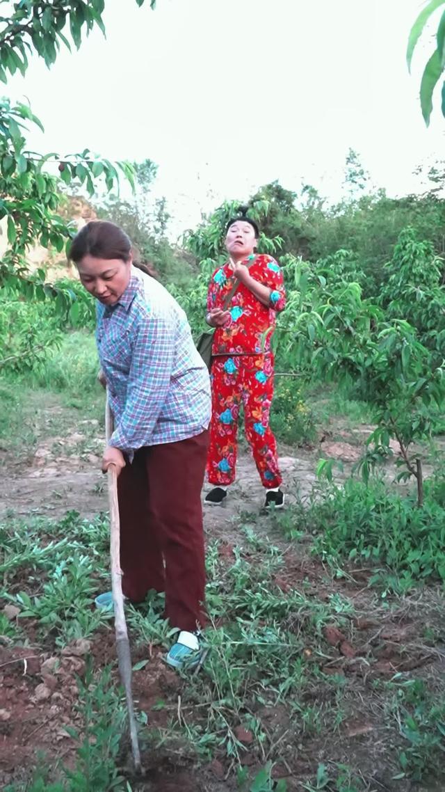 《苦盼兒孫半生緣》劇照