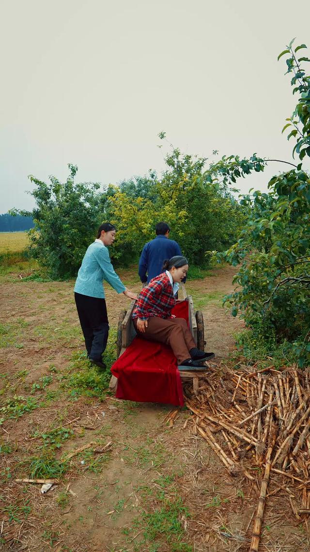 《山風知我意》劇照