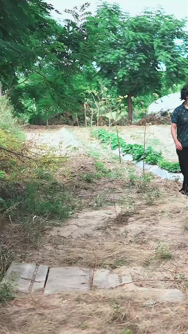 《桃落半生霜》劇照
