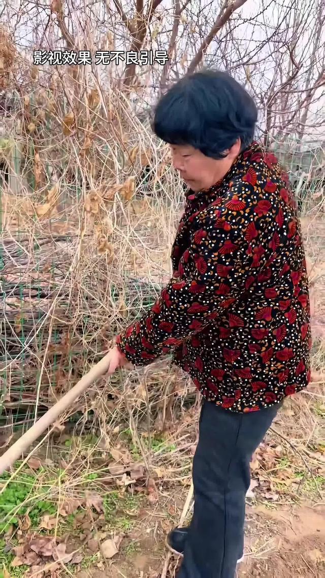 《远嫁女儿泪》剧照
