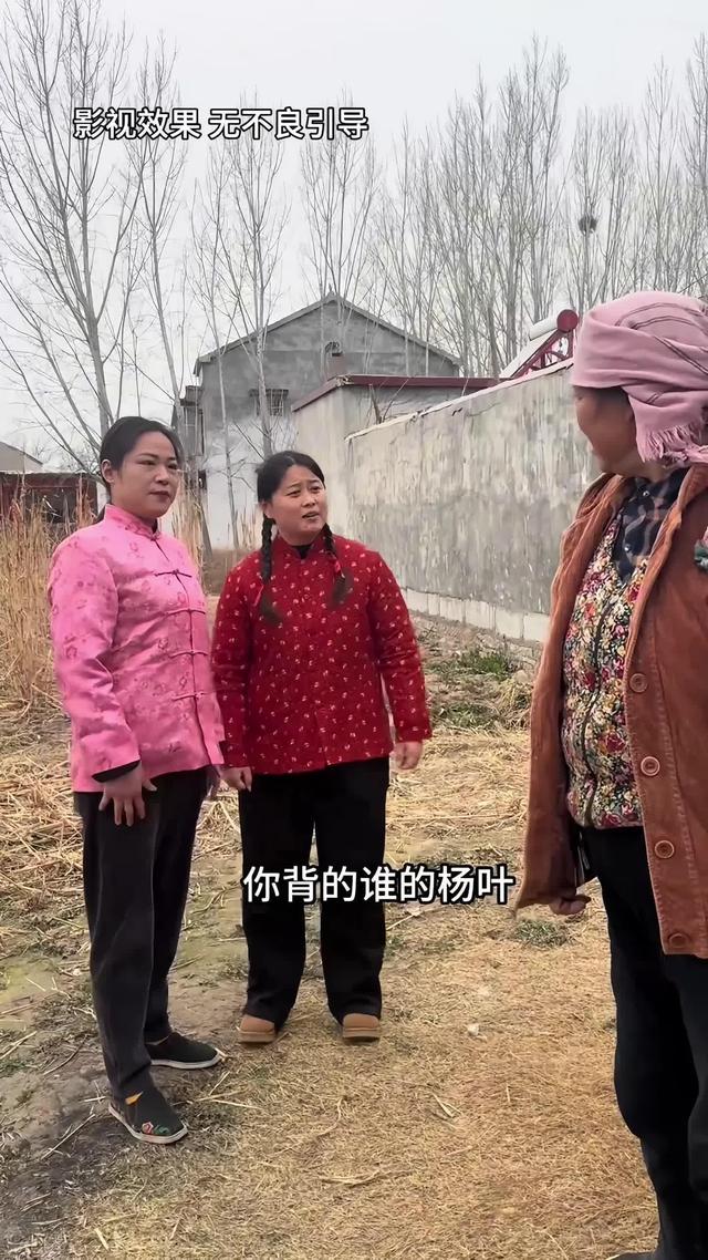 《远嫁女儿泪》剧照