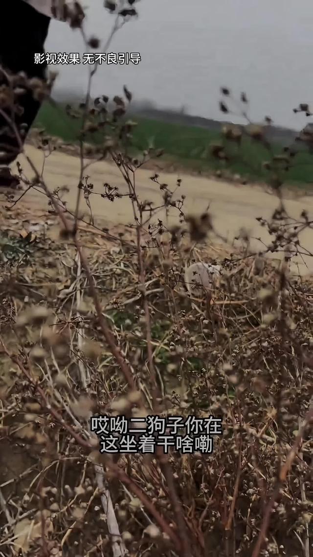 《远嫁女儿泪》剧照