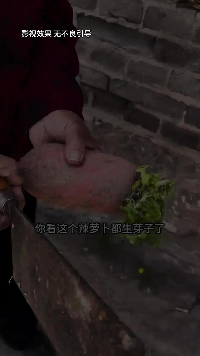 《远嫁女儿泪》剧照