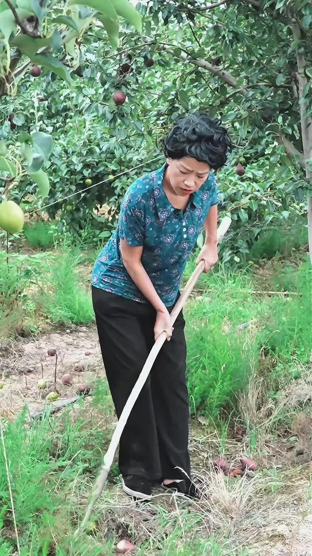 《桃落半生霜》劇照