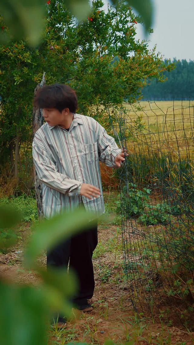 《山風知我意》劇照