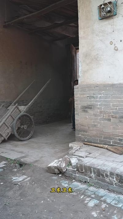 《苦盼儿孙半生缘》剧照