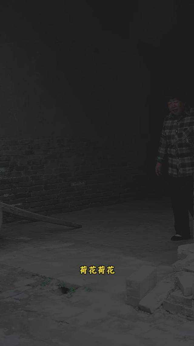 《苦盼儿孙半生缘》剧照