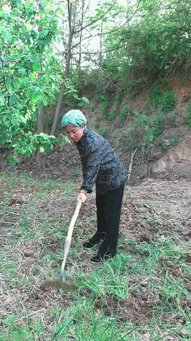 《苦盼兒孫半生緣》劇照