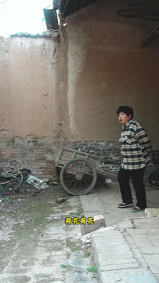 《苦盼兒孫半生緣》劇照