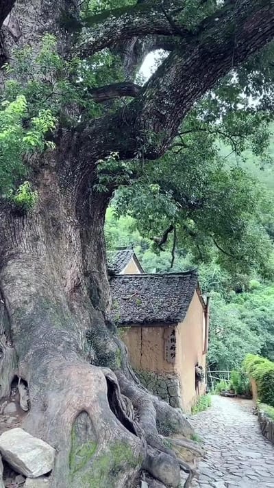 《母亲的反击》剧照