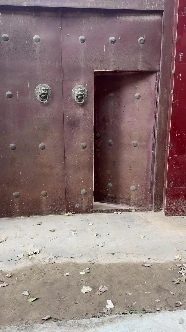 《她們正芳華》劇照