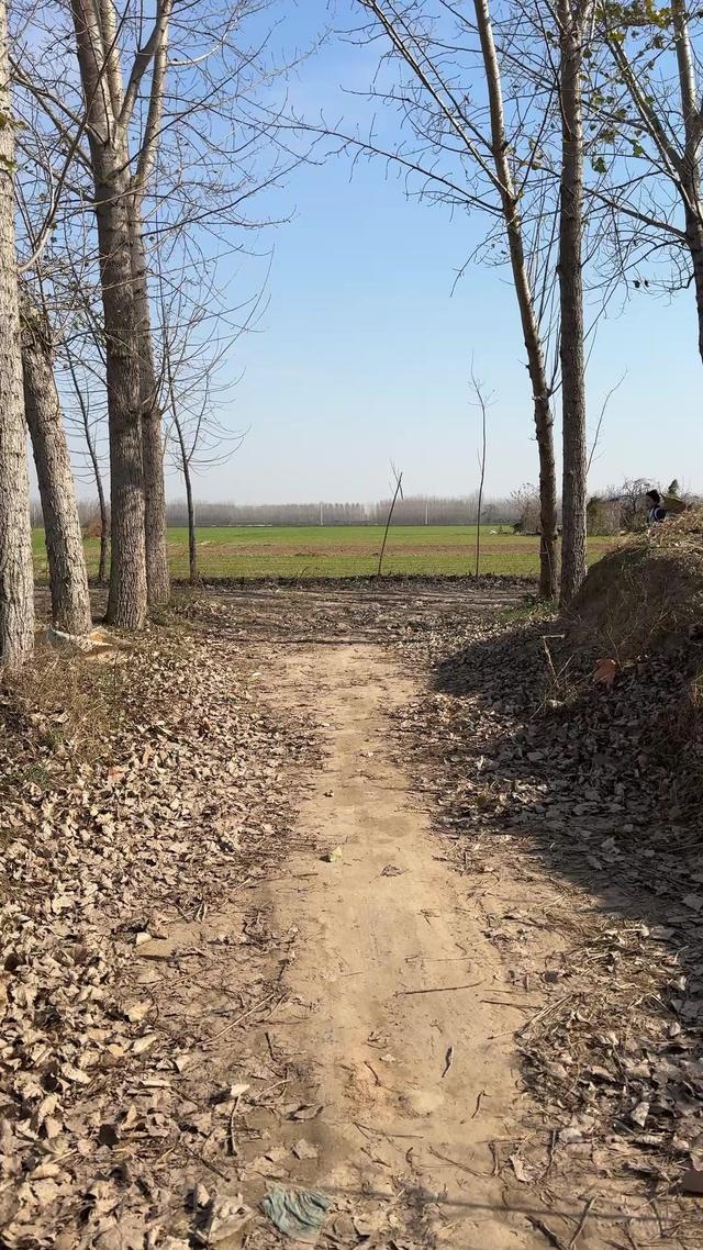《她們正芳華》劇照