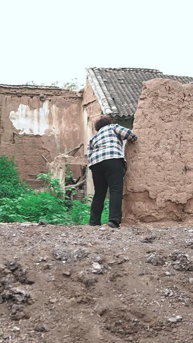 《苦盼儿孙半生缘》剧照