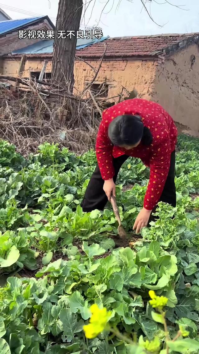 《远嫁女儿泪》剧照