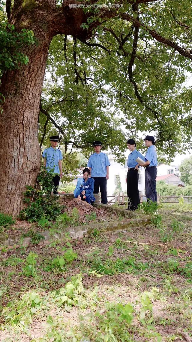 《歲歲，盼娣歸》劇照