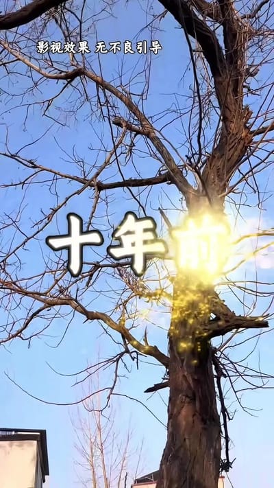 《远嫁女儿泪》剧照