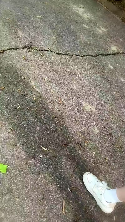 《我是廚神學院唯一小師妹》劇照