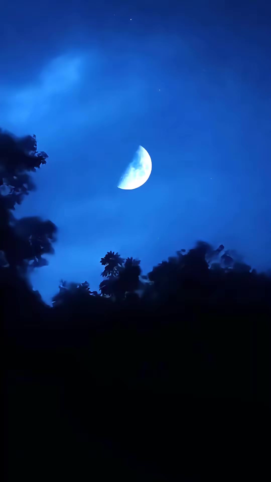 《血狼劫》劇照