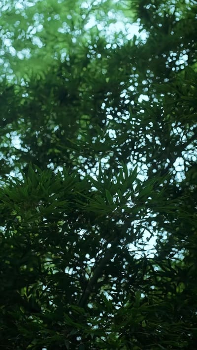 《靈蛇怒》劇照