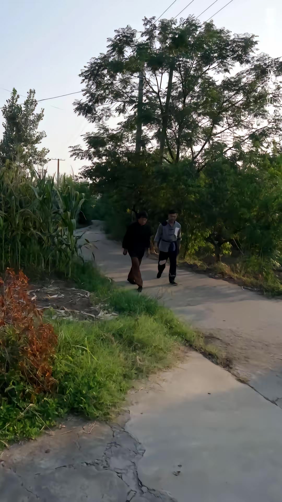 《鼠影重重》劇照