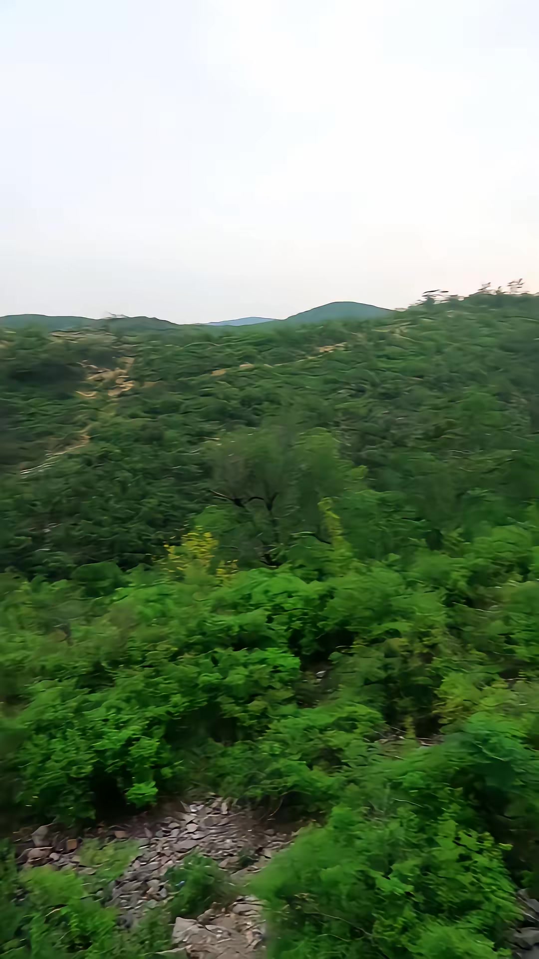 《兇狐》劇照