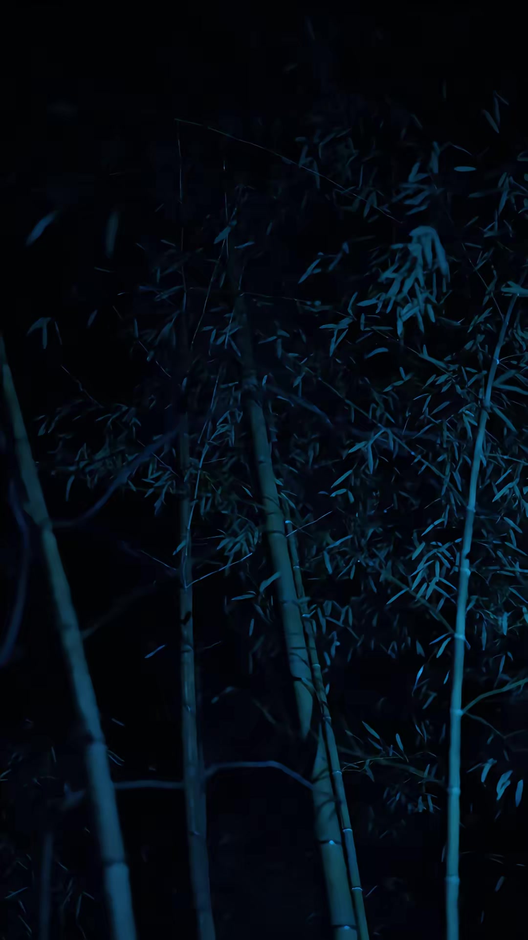 《夜半新娘》劇照