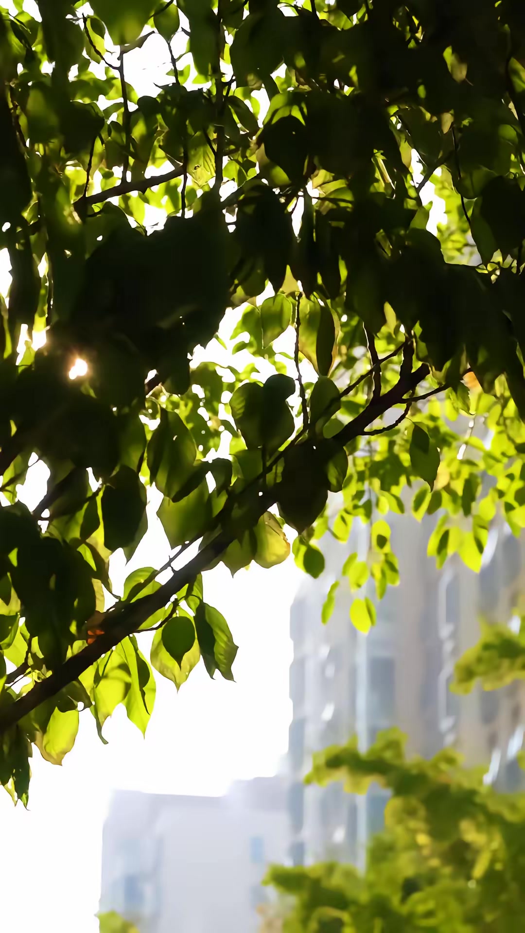 《心淡》剧照
