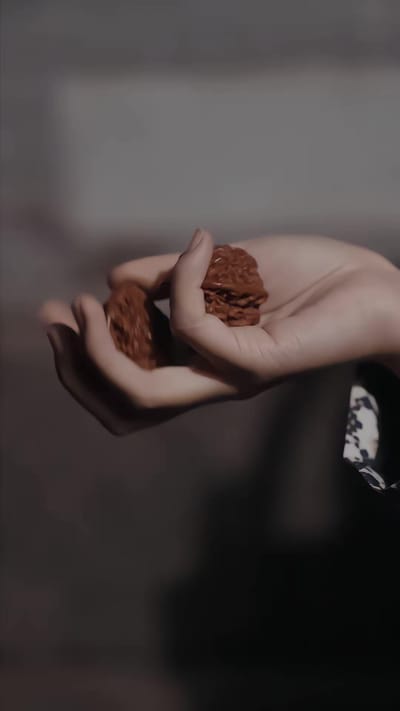 《蛇王索命》剧照