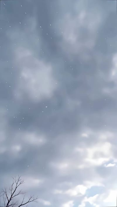 《镇北少帅第五季》剧照