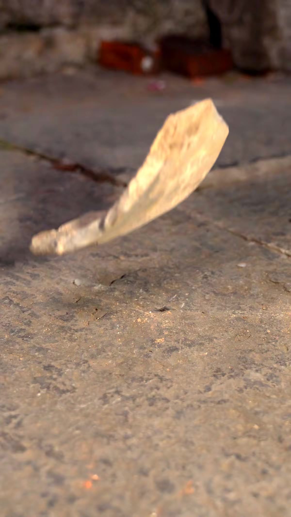 《驢皮債》劇照