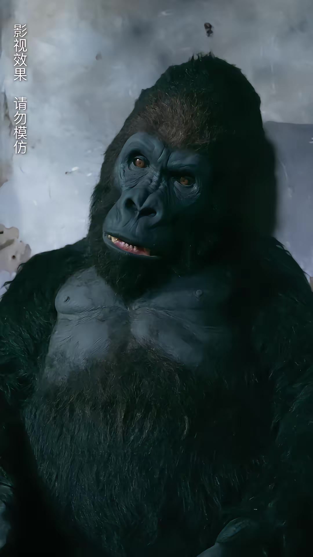 《午夜送餐人》剧照