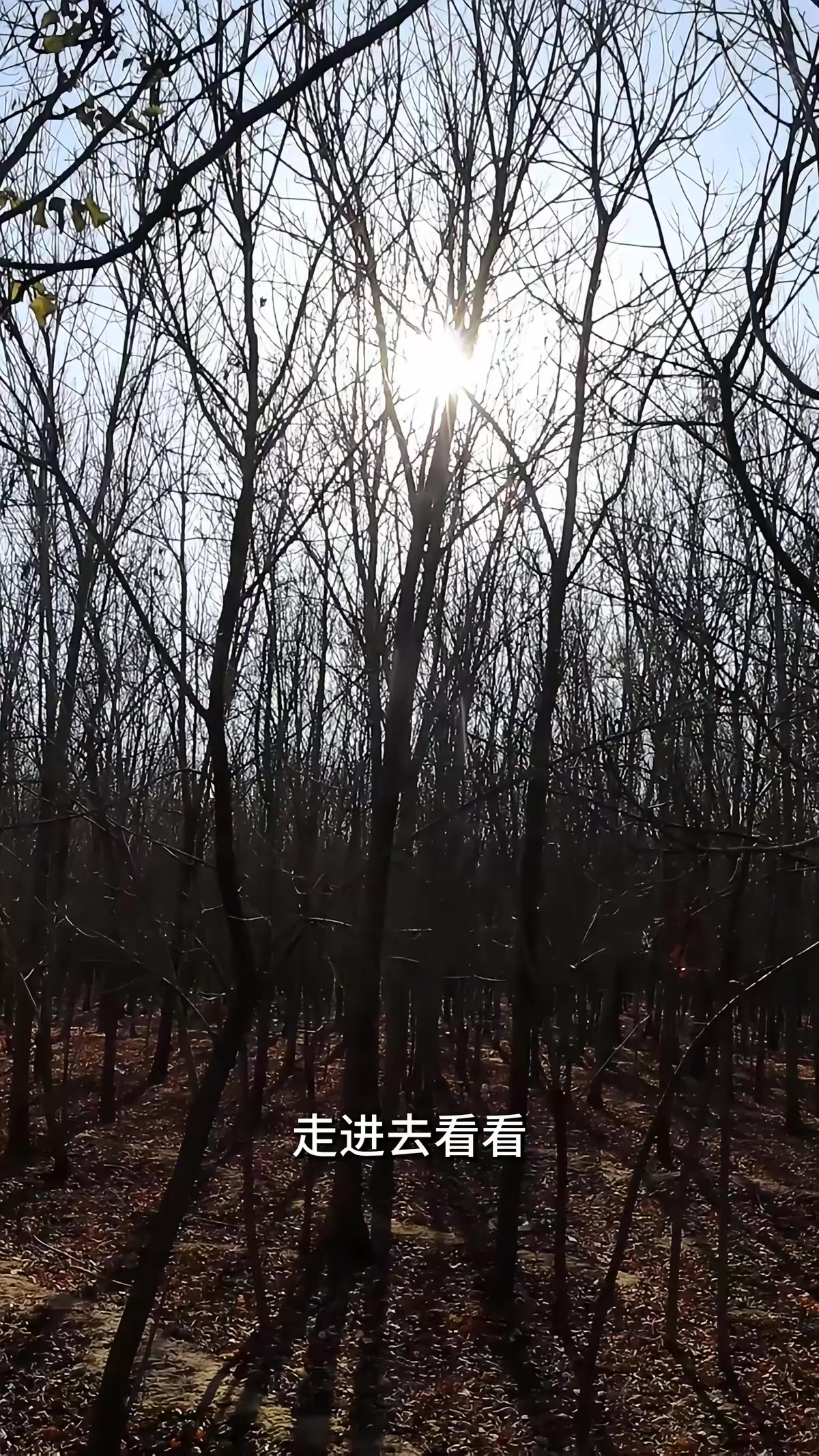 《血月詭鱔》劇照