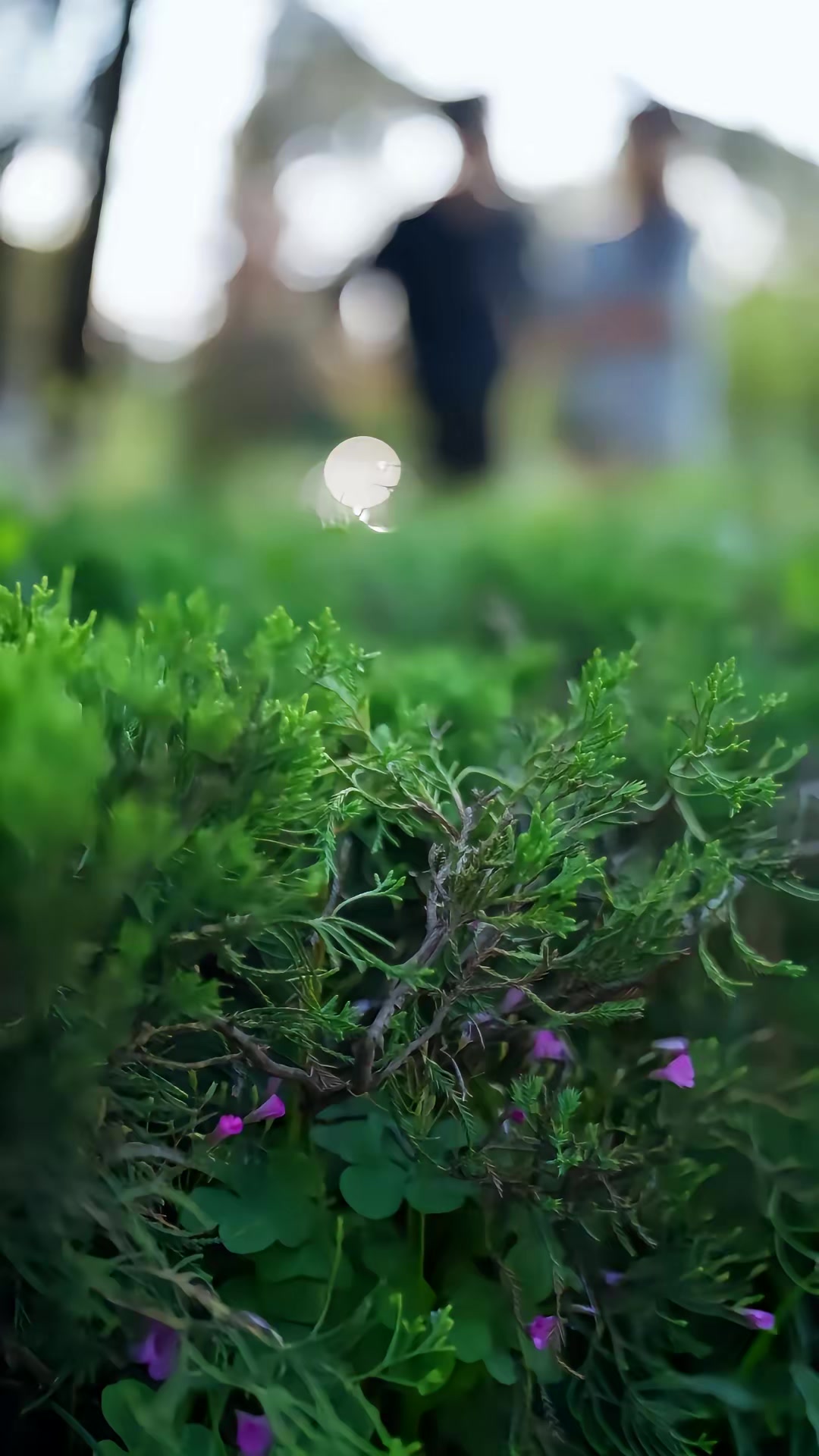《父愛燃盡，向陽獨行》劇照