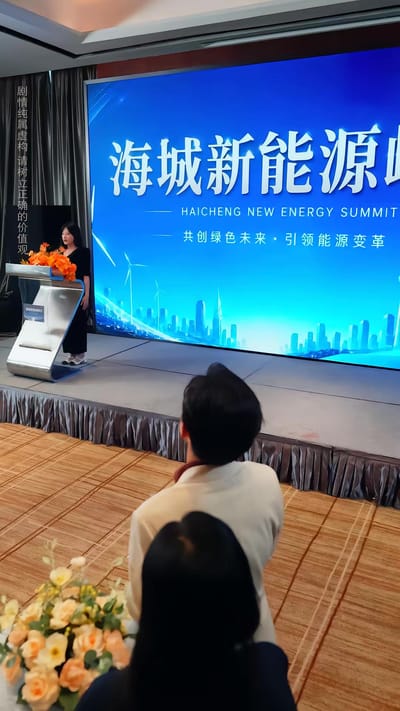 《雙胎異父，我硬核清算一切》劇照