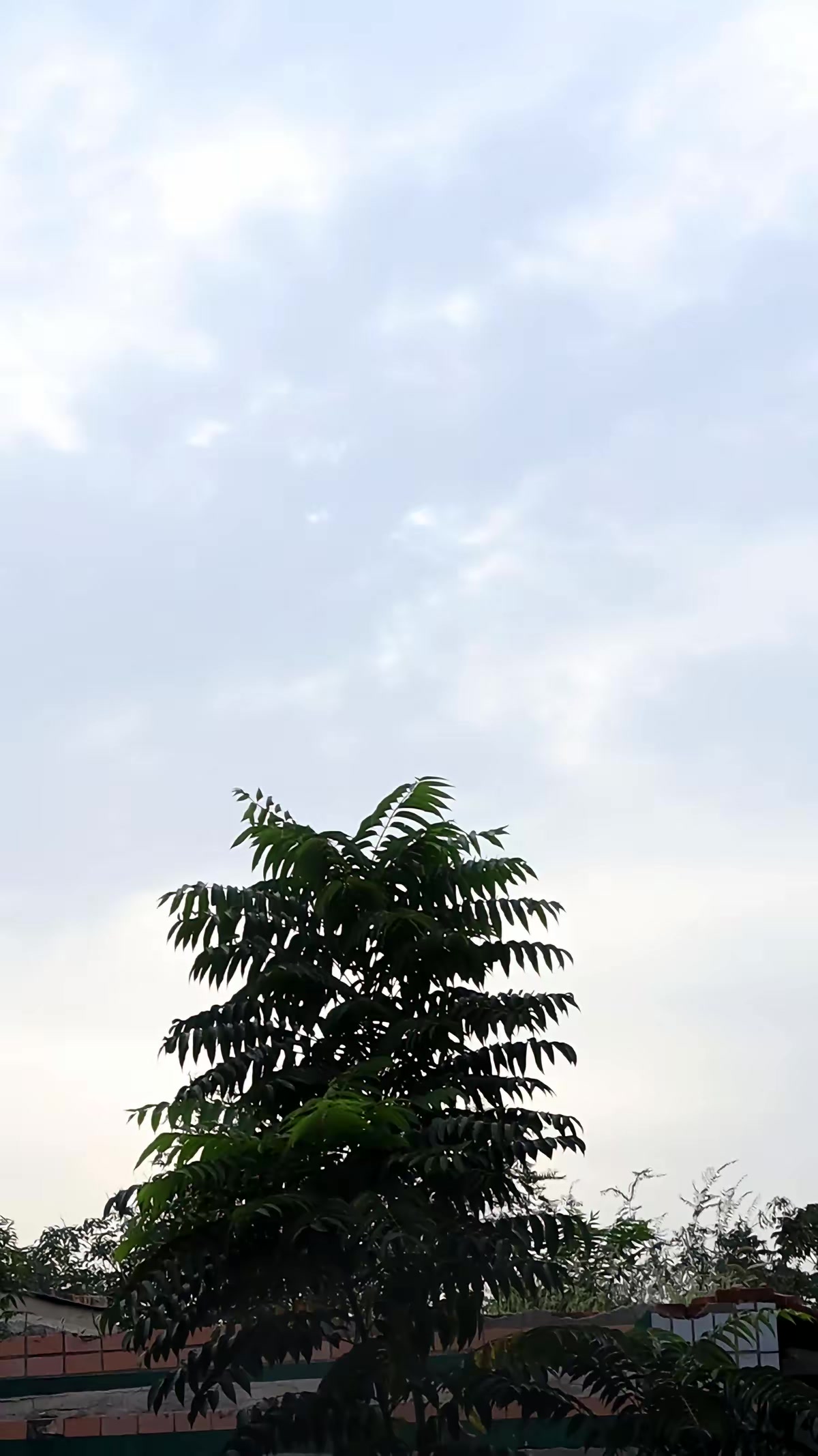 《蜜獾惊魂》剧照