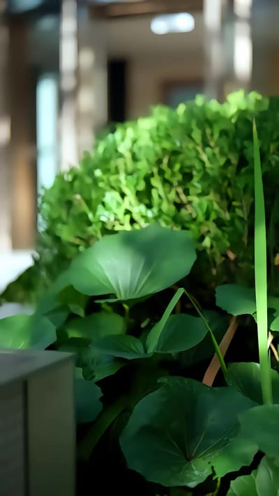 《父愛燃盡，向陽獨行》劇照