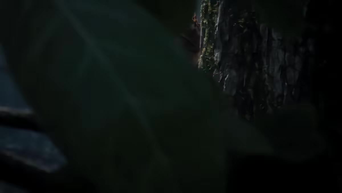 《我老婆是東晉第一女魔頭》劇照